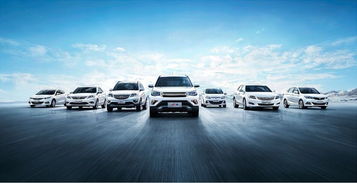 瀘州萬友公司 專業汽車服務，值得信賴的合作伙伴